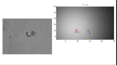 Experimental Comparison Against Simulated Fiber with no Twist Dynamics