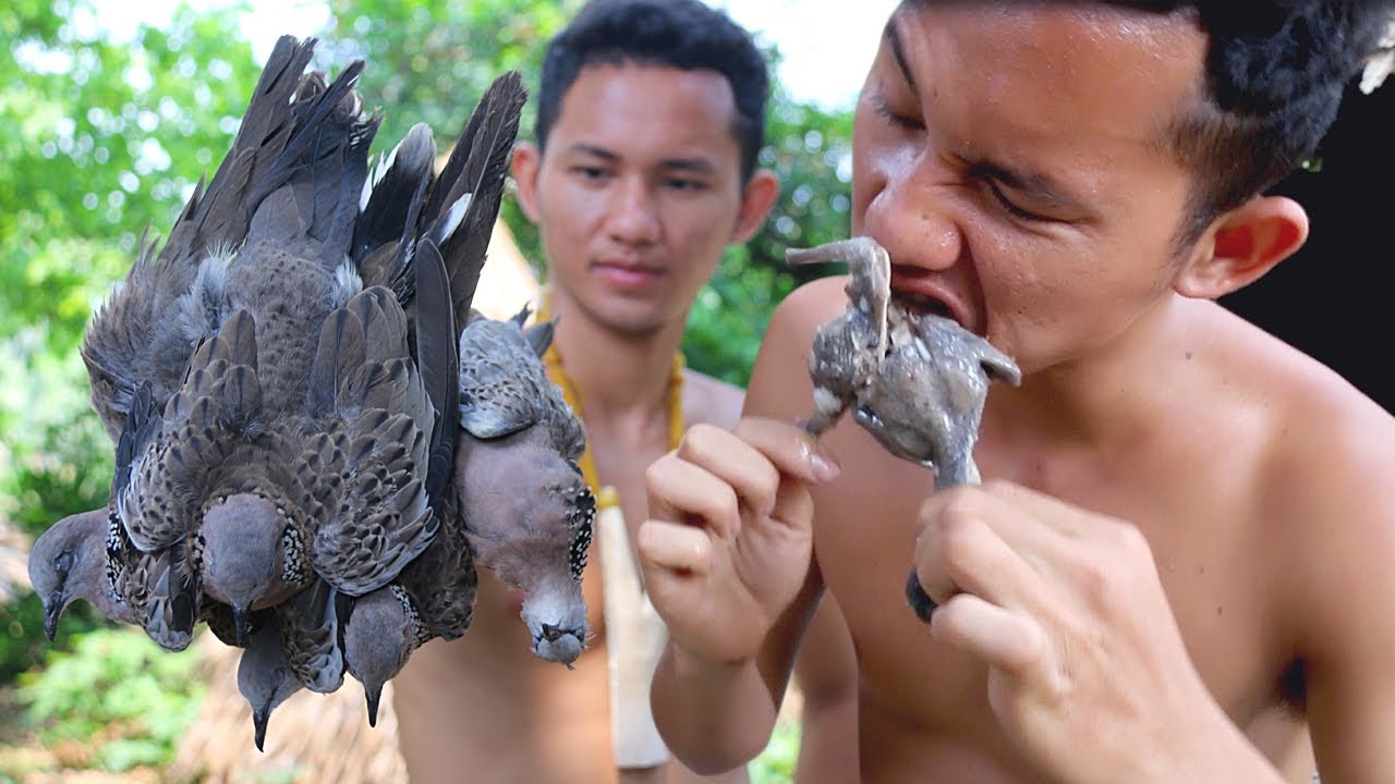 Hunting Birds Dove a Cooking Curry Dove  Eating Delicious to Survival