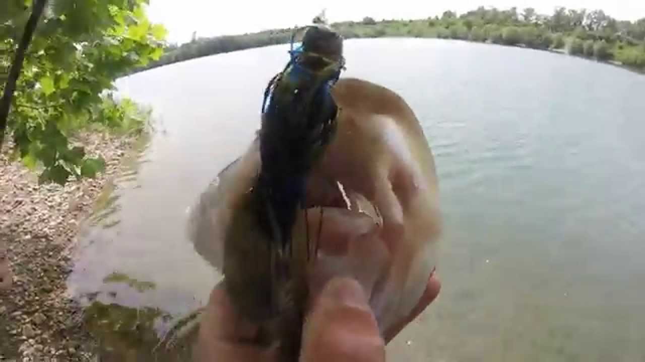 Catching Big Bass On Jigs – Bass Fishing