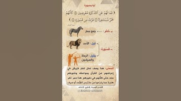 ( كأنهم حمر مستنفرة فرت من قسورة ) #ماهر_المعيقلي