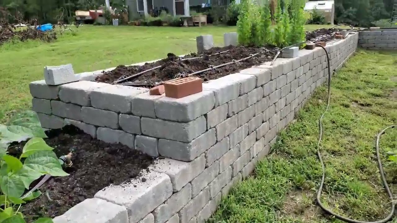 July 13, 2022 Garden Tour | No-till Raised Garden, SDA Country Living Zone 7a