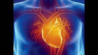 Cardiac Issues Associated with Celiac Disease and Gluten Intolerance EP023