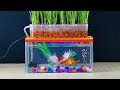 How To Make Mini Aquaponics Aquarium at home