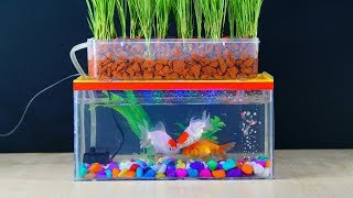 How To Make Mini Aquaponics Aquarium at home