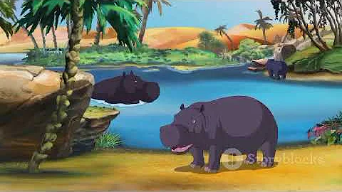 13 Tips to Survive Wild Animal Attack