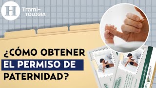 ¿Cómo tramitar el permiso de paternidad? Sigue estos pasos | Tramitología