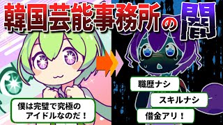 【過酷な契約内容！？】完璧で究極のずんだもんが韓国アイドルを目指した結果【ずんだもん解説】