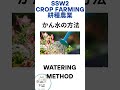 SSW2 crop farming