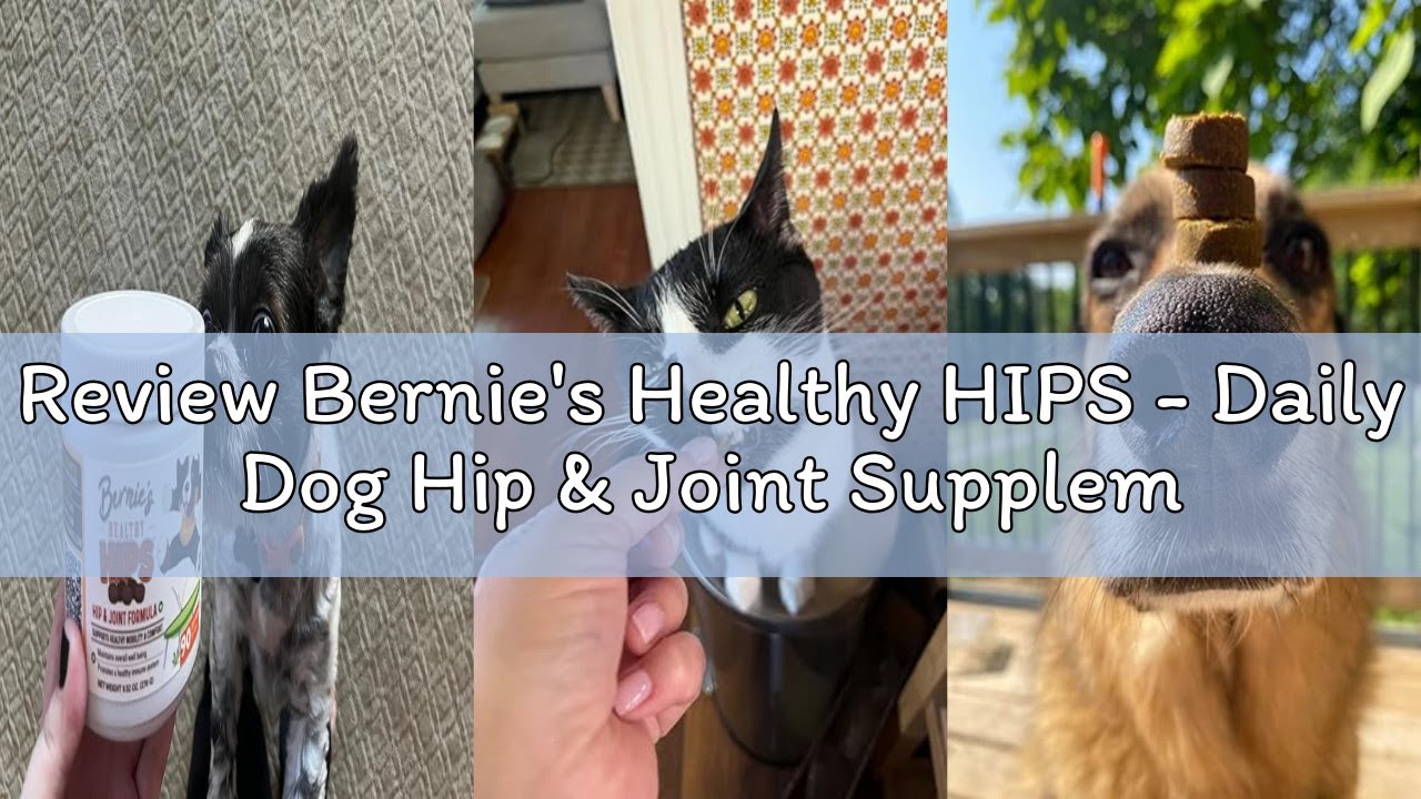 Review Bernie's Healthy HIPS - Daily Dog Hip & Joint Supplement - 90 Soft Chews - Reduce Pain, Encou