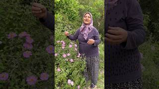 Bugün Doğayı Ormana Gezdim Mis Gibi Kokuyor Bahçeleri Dolaştım. Ğa Ğlar Çe