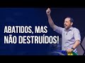 ABATIDOS, MAS NÃO DESTRUÍDOS! - Pr. André Carvalho