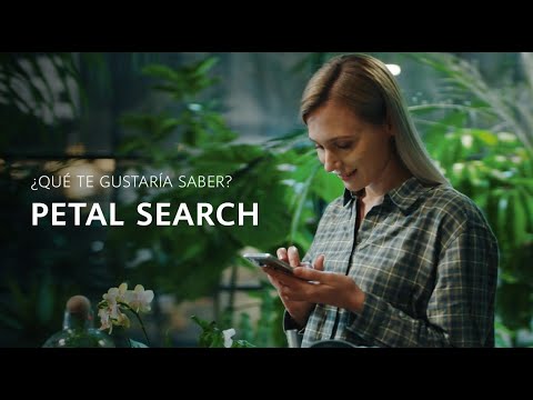 HUAWEI Petal Search - Dos años haciendo volar tu curiosidad