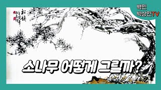 백민 박상인의 문인화교실: 소나무 어떻게 그릴까?