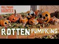 DIY Halloween Decorations - Pumpkin Makeover - Decoration Ideas