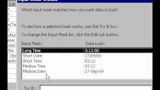 Microsoft Office Access 2000 Creating an input mask