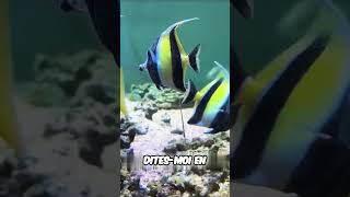 #pêcheàlacarpe #animaux #fishing #thon #pêcheenmer #fish #poisson #poissons #aquarium