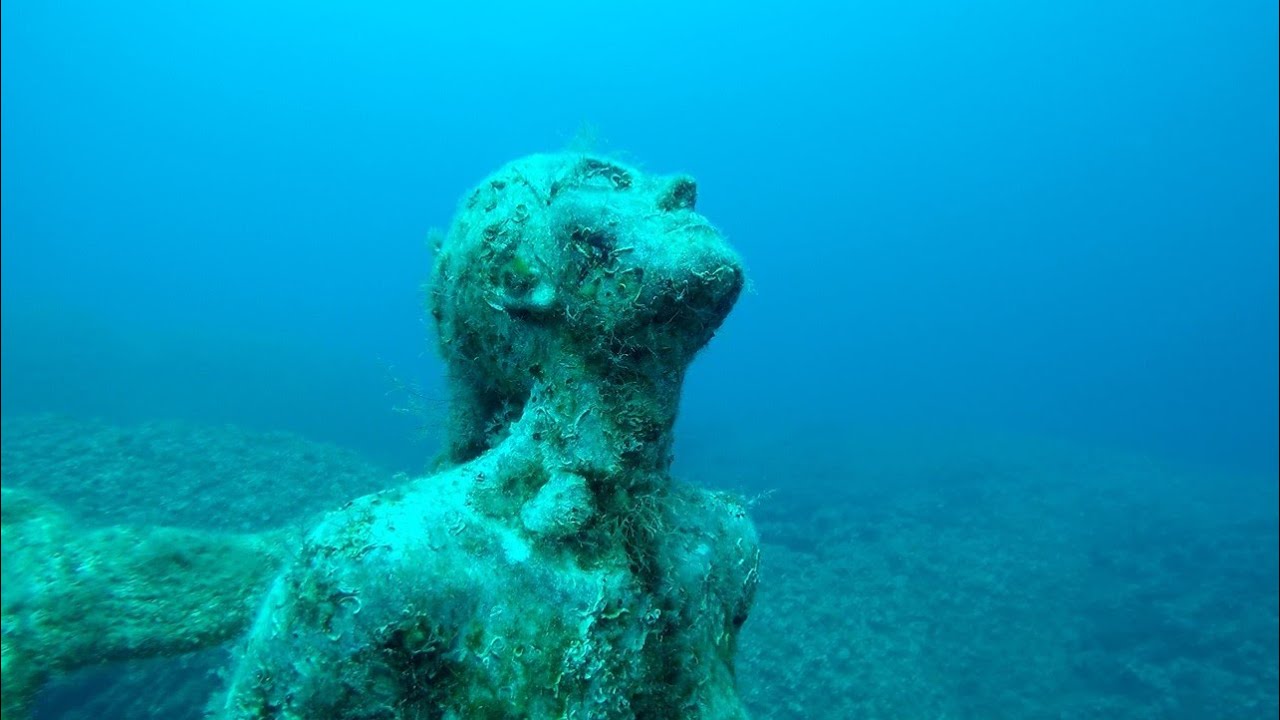 Apnea - Freedive- Rossana Maiorca Memorial Plemmirio - YouTube