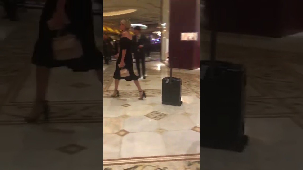 Bag that follows you where you go!!!!! YouTube