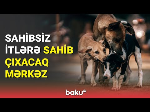 Video: Hetero - bu yaxşıdır, yoxsa pis?