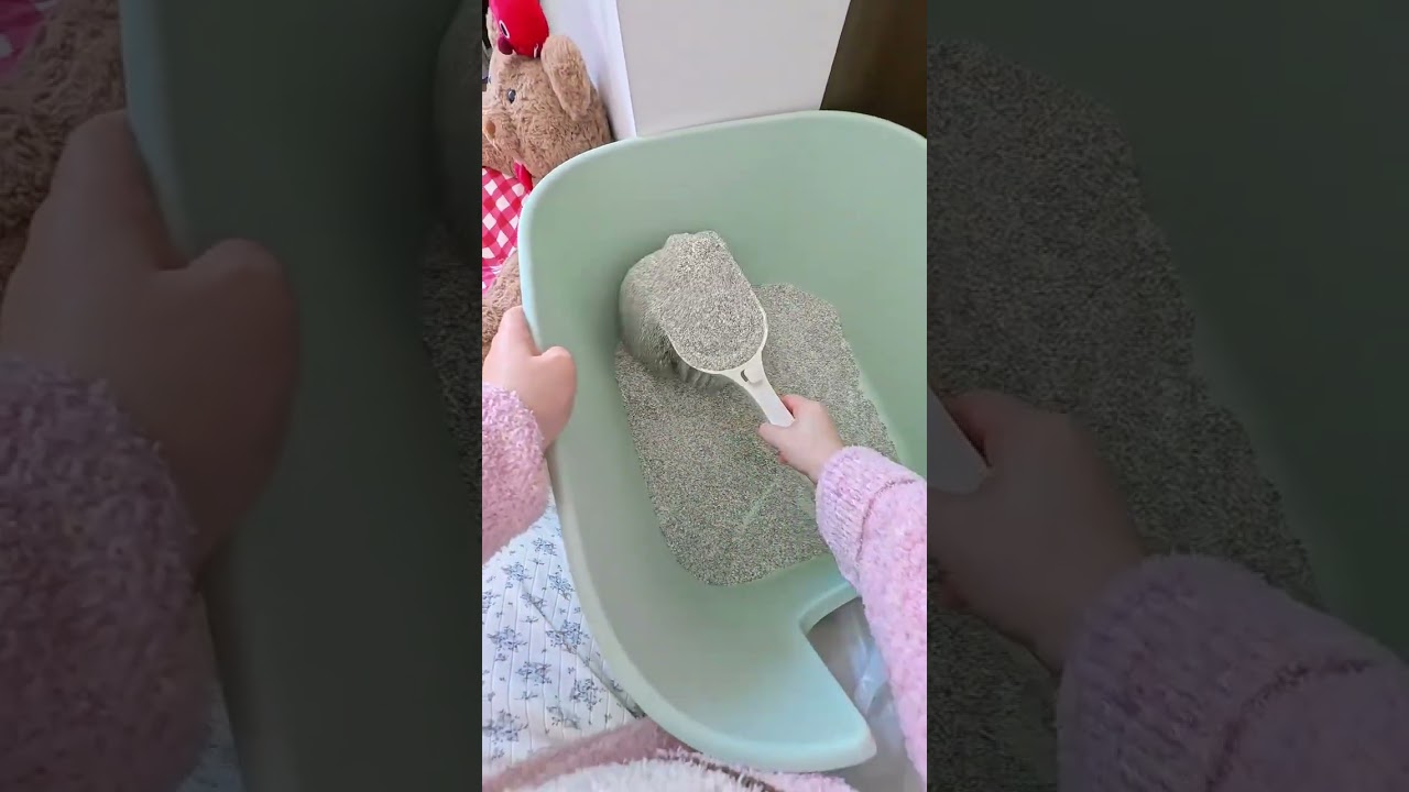 Dink's Family's Cat-Care Chronicles: 15-Minute Housework & Kids' Involvement