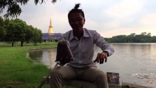 เน วัดดาว อาทโอรส มันท้ารบพวกเองอีกแล้ว มาดูๆ