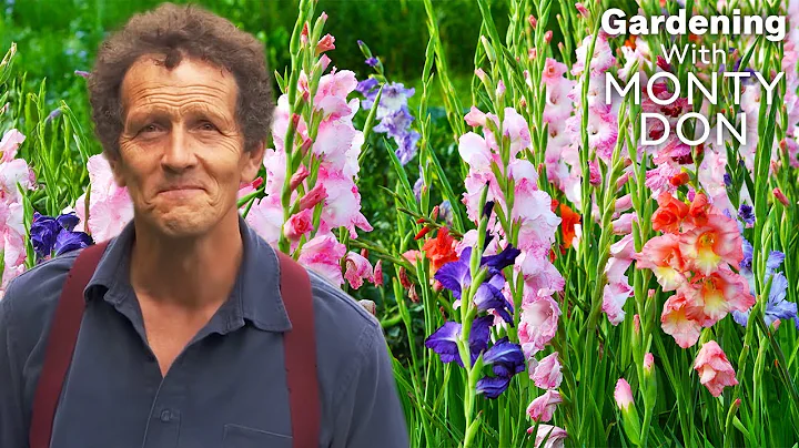 Monty Don's Best Tips For A Beautiful September Garden | FULL EPISODES | Gardeners' World thumbnail