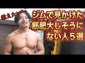筋肥大しなさそうな人５選