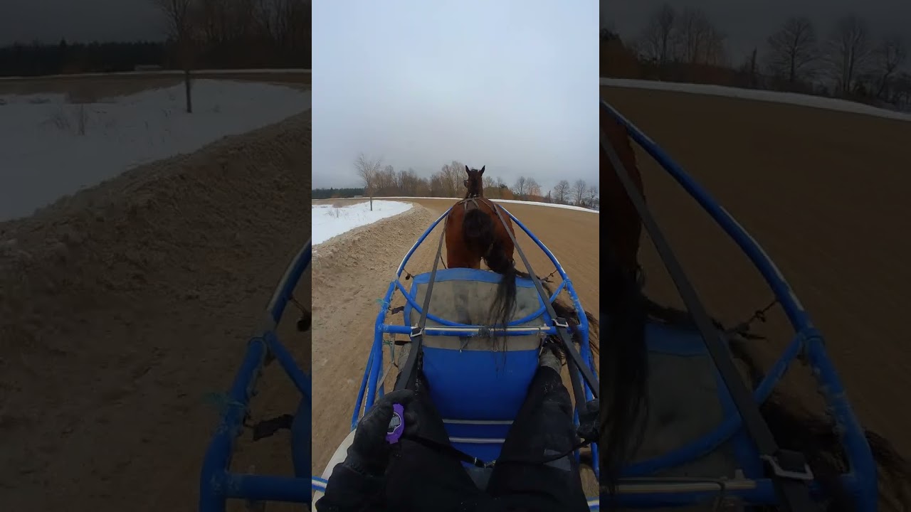 Esmeralda & Chezmatante Du Lac - 15 février 2026