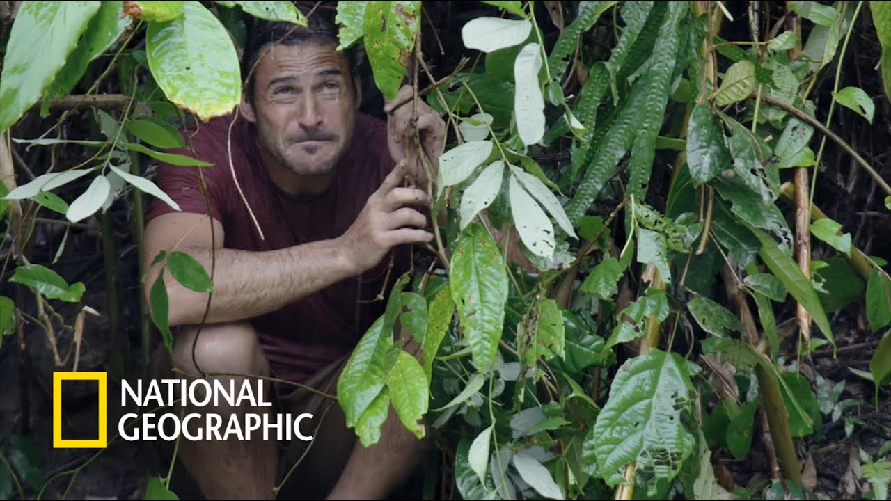 헤이즌 아델, 거센 폭우 속에서 살아남기 | Primal Survivor