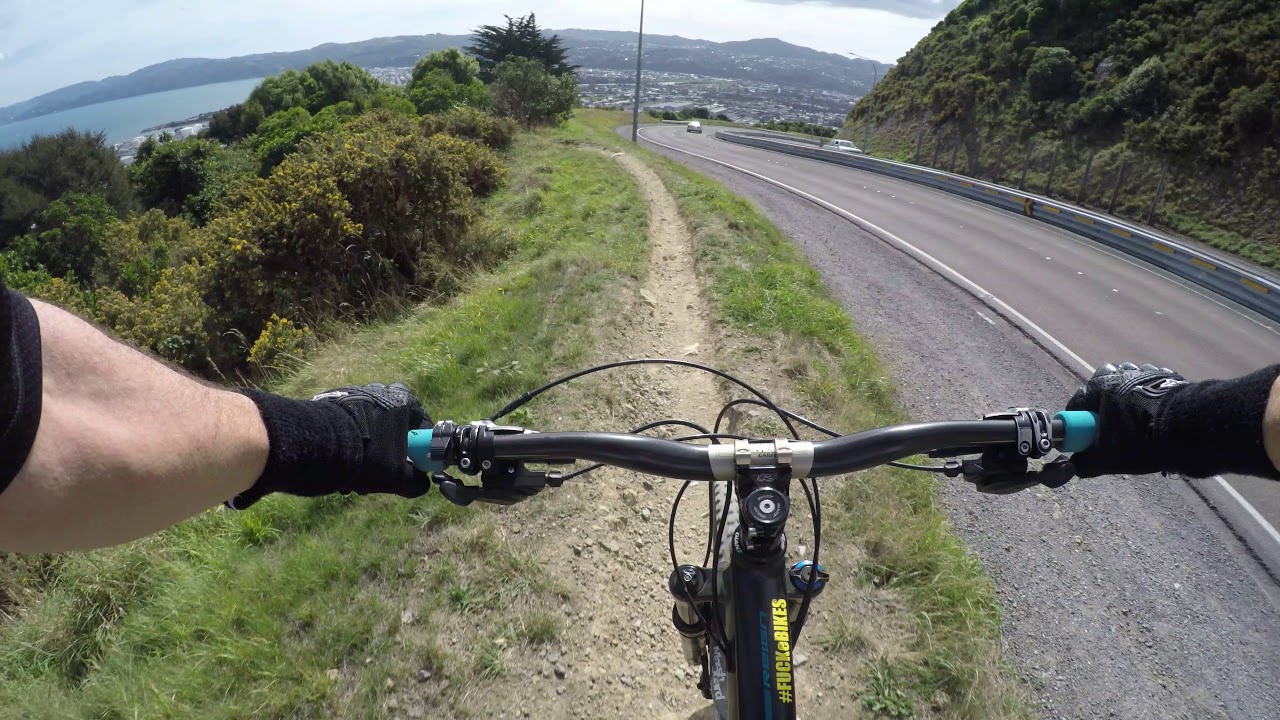 wainui trail project