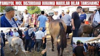 YANGIYOL MOL BOZORIDAGI BUGUNGI NARXLAR BILAN TANISHAMIZ 