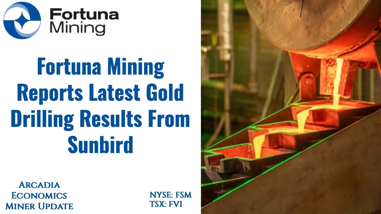Компания Fortuna сообщает о дополнительных золотоносных минерализациях на месторождении Sunbird.