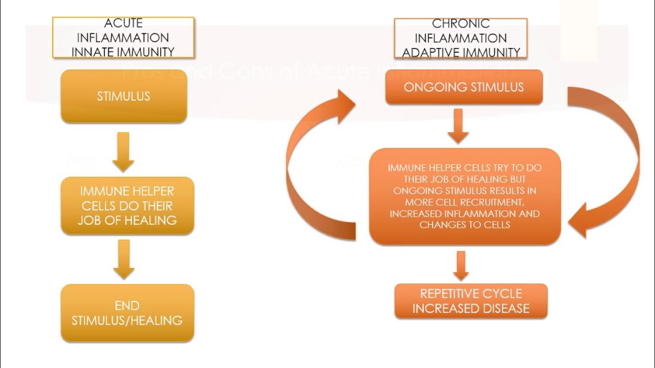Acute перевод. Chronic inflammation. Acute inflammation. Inflammation schematic.