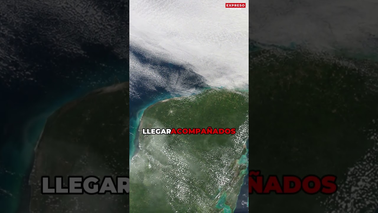 🥶🌬️ ¡YUCATÁN PODRÍA RECIBIR 29 FRENTES FRÍOS! #clima #noticias #yucatán