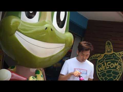 [台湾小琉球vlog]環島之旅，深潛體驗找綠蠵龜！