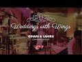 Wings wedding band sri lanka  wedding recap  pt 01