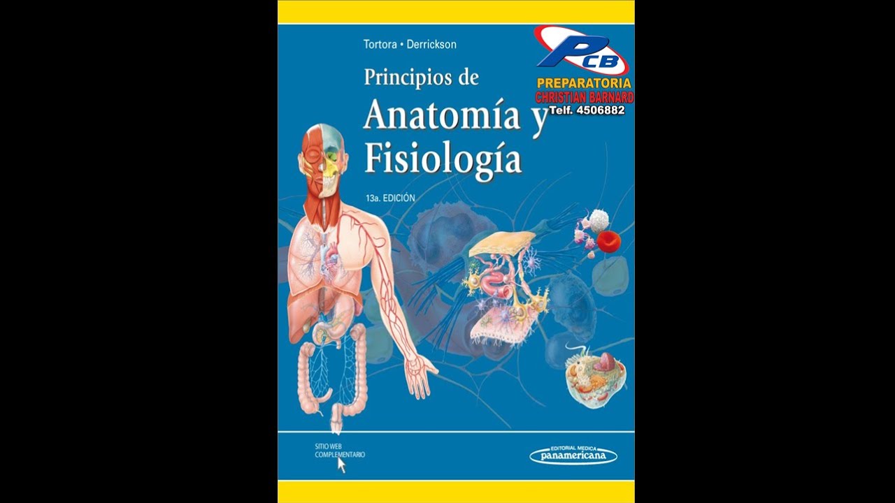 Baldissera Fisiologia Pdf Free Baldissera Fisiologia Pdf Free