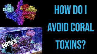 Toxic Warfare. Algae, Dinos, Diatoms, Cyano, Corals, and Allelopathy | ep.2 Toxins and Impurities