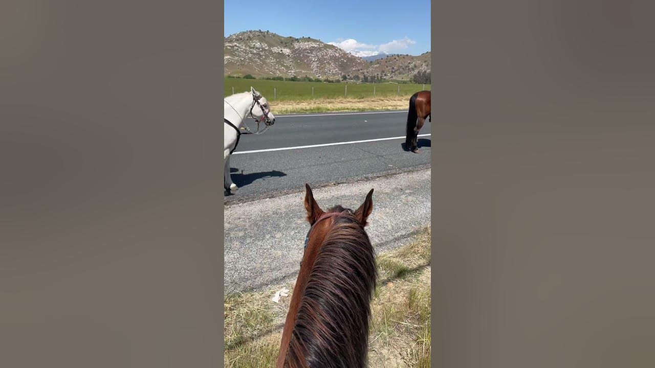 jackass-mail-run-2023-last-pit-stop-before-the-rodeo-grounds-youtube