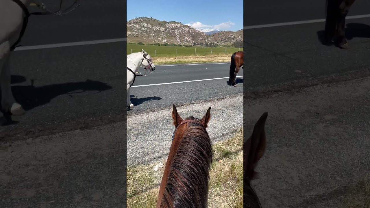 Jackass Mail Run 2023 Last Pit Stop Before The Rodeo Grounds YouTube Jackass Mail Run 2023 Last Pit Stop Before The Rodeo Grounds YouTube