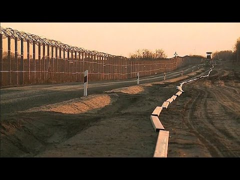 Macaristan-Sırbistan sınırına yeni tel örgü