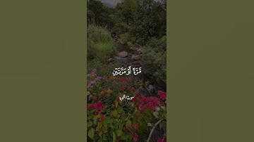 تلاوة محبرة للشيخ الحصري#quran