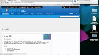 What the files are in you server folder and how to install a plugin
