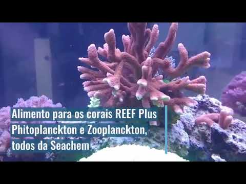 Aquário Sarlo Better