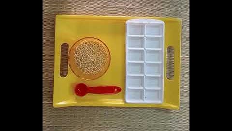 Montessori 1 - EPL ( Exercise of Practical life [ Fine motor skill ])