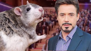 Felix The Rat Interviews Robert Downy Jr.