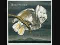 Shearwater - White Waves