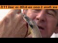 सांप के काटने पर ये वीडियो बचा सकती हे आपकी जान | How To Survive Snake Bite? | Snake Bite First Aid