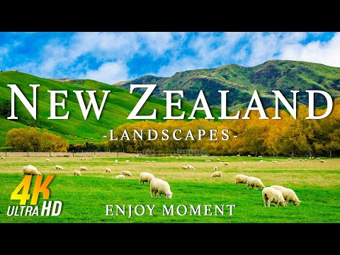 New Zealand Relaxing Music With Beautiful Natural Landscape