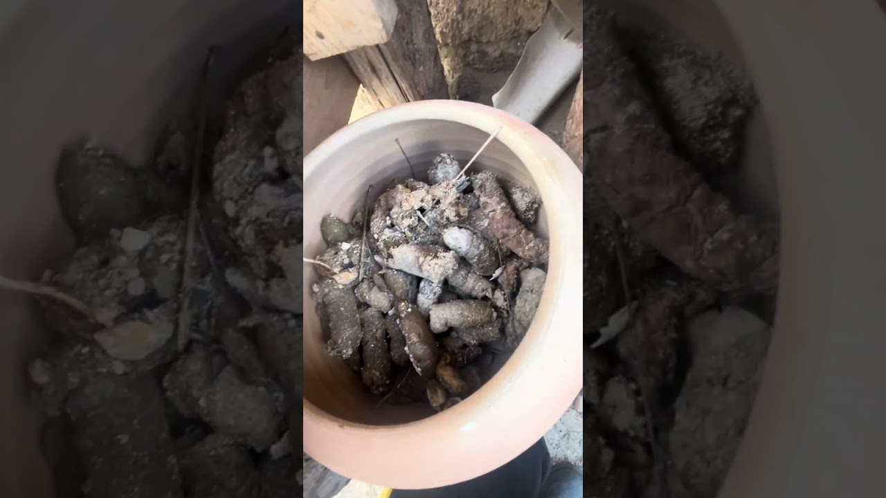 Yastıya bozbaş pişirdim 👌🏿🥘